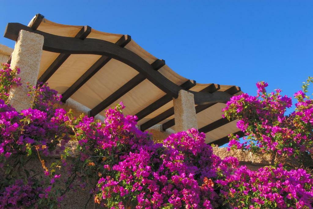 Le Sirene Hotel Portisco Exterior foto